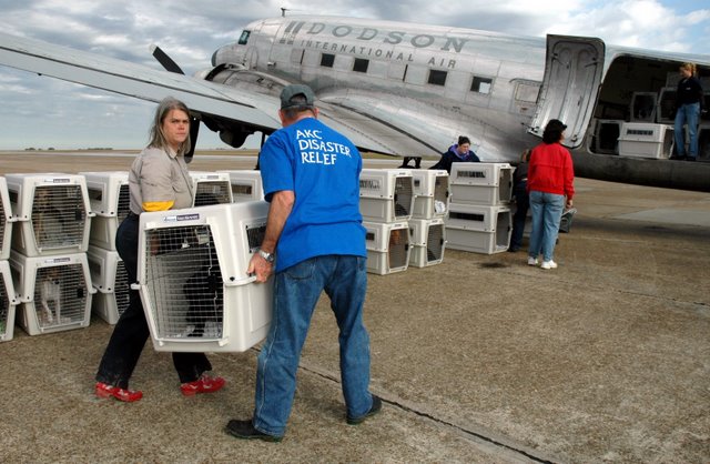Airlift to Chicago